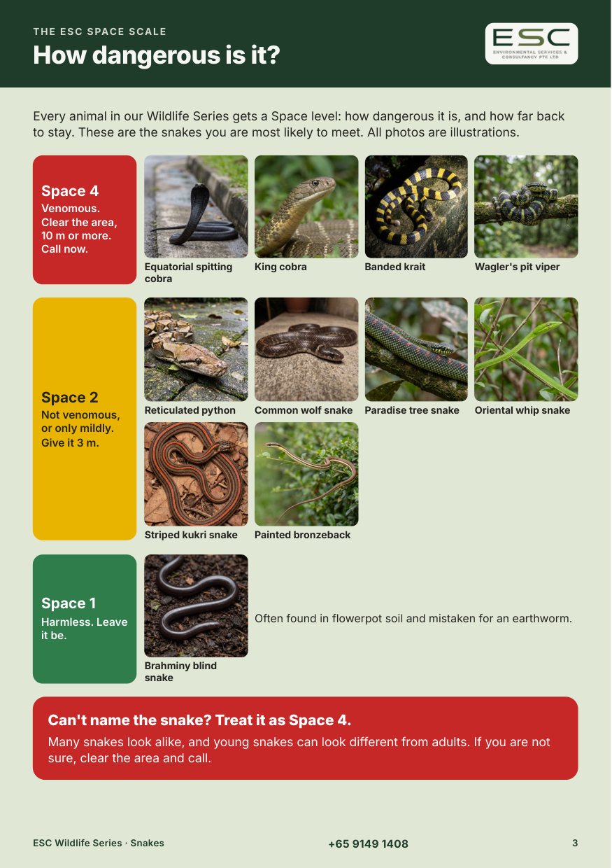 Page 3 of the ESC Snakes booklet