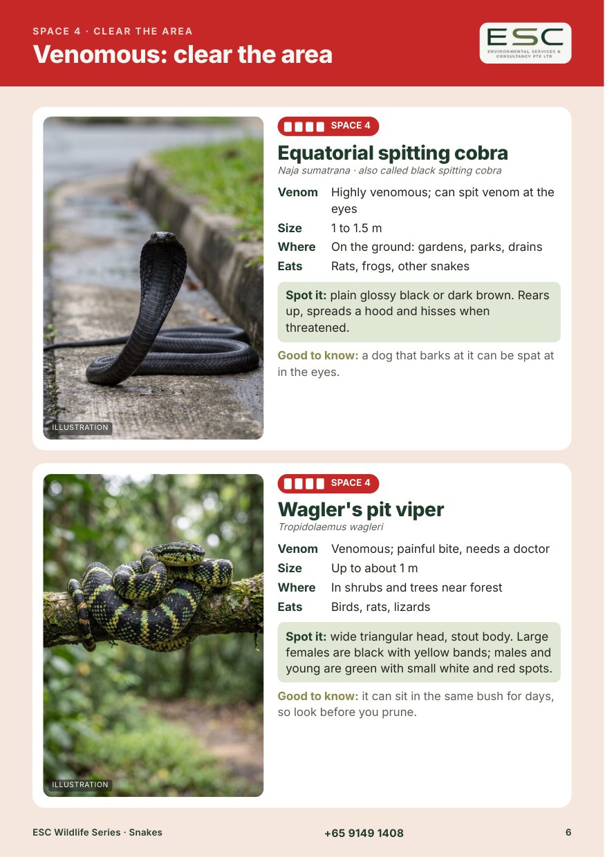 Page 6 of the ESC Snakes booklet